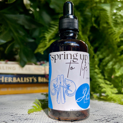 Kidney, Urinary & Vitality Support